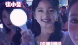 娱乐圈大爆料刘浩存视频,娱乐圈大爆料背后的真相揭秘