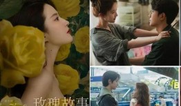 小雅夫妇爆料事件视频全集,视频全集揭秘惊人内幕